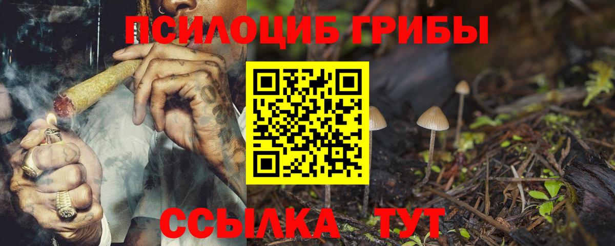 Петропавловск-Камчатский  Галлюциногенные грибы GOLDEN TEACHER  Вход с VPN  Псилоцибиновые грибы GOLDEN TEACHER 
