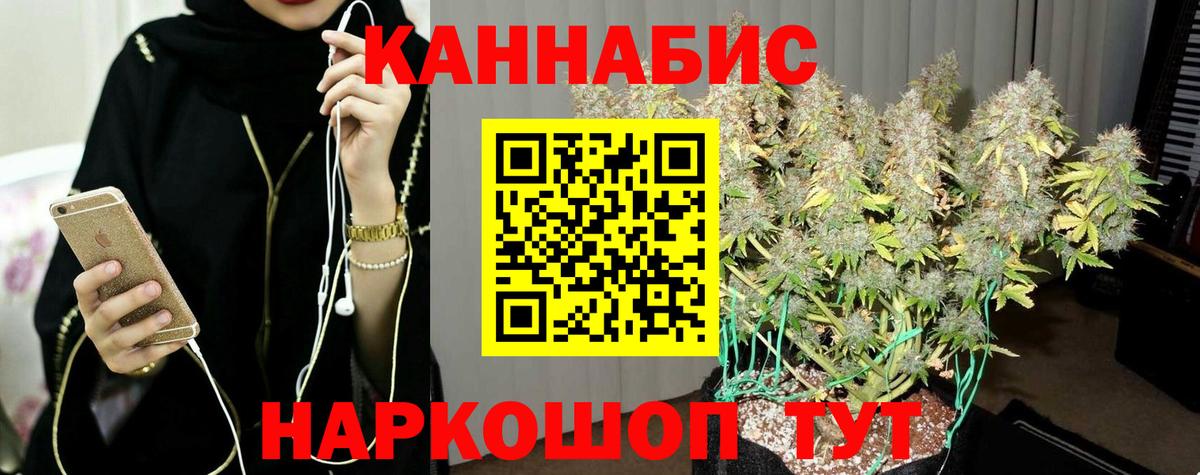 МАРИХУАНА семена  Шишки марихуана Ganja  МАРИХУАНА гибрид  Вход с VPN  Марихуана сатива  Петропавловск-Камчатский 